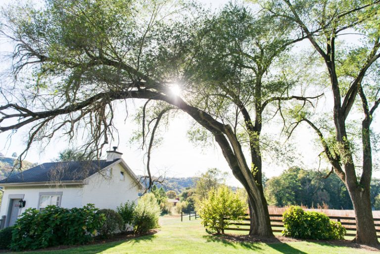 Summer Cottage Richwood on the River